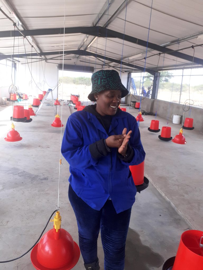 Rebochicks Media Gallery