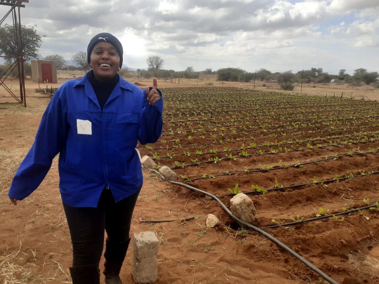 Rebochicks Media Gallery 3